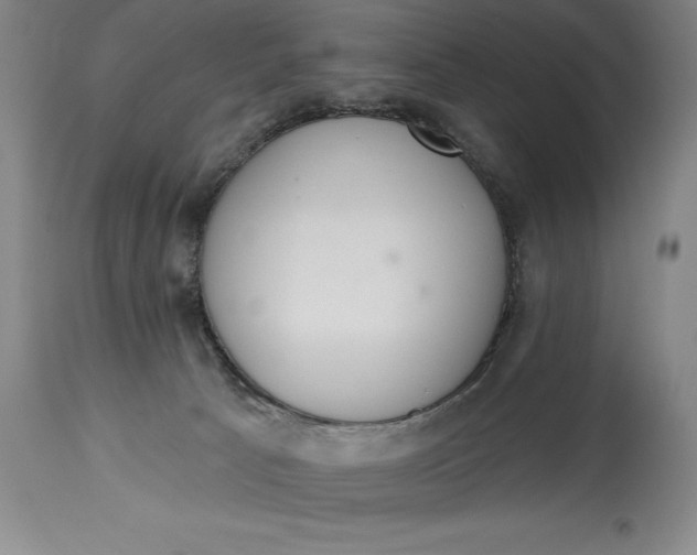 X0000115420033200911171433