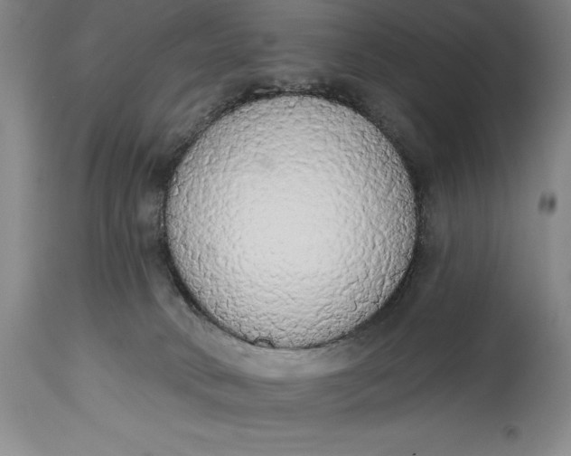 X0000115420034200911171433