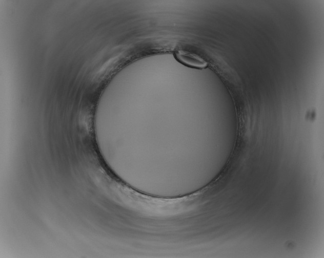 X0000115420035200911171433