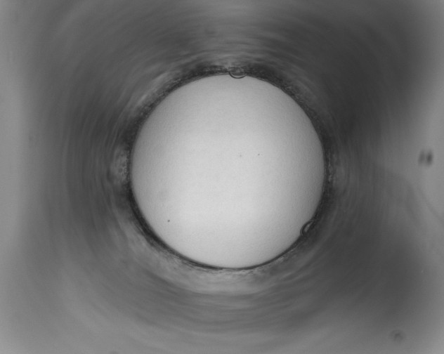 X0000115420036200911171433