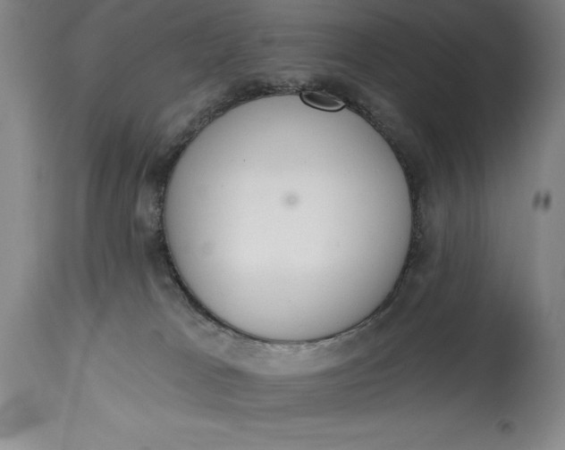 X0000115420037200911171433