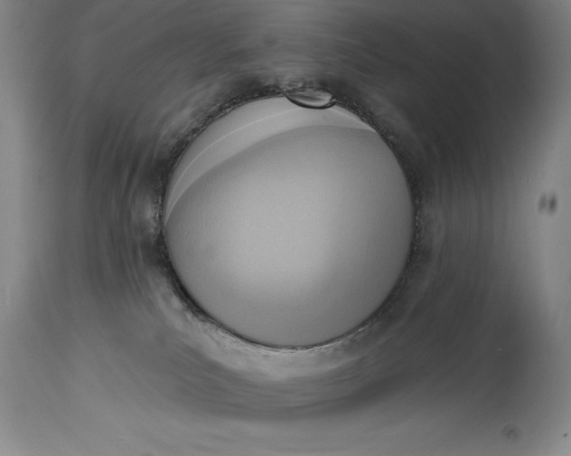 X0000115420039200911171433