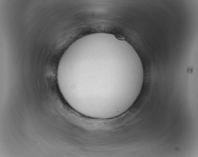 X0000115420040200911171433