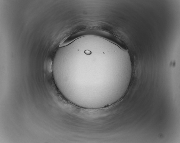 X0000115420041200911171433