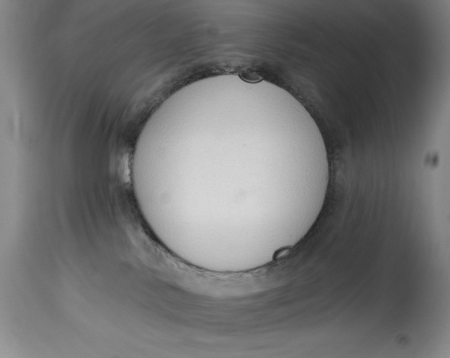 X0000115420042200911171433