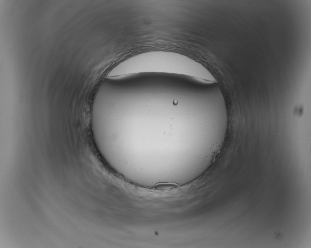 X0000115420043200911171433