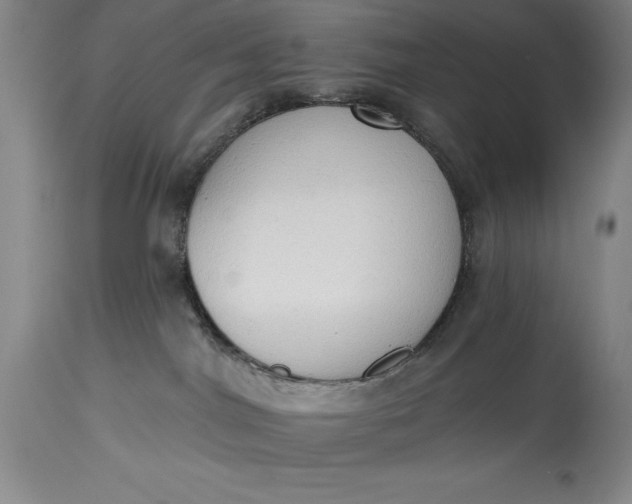 X0000115420044200911171433