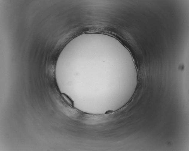 X0000115420045200911171433