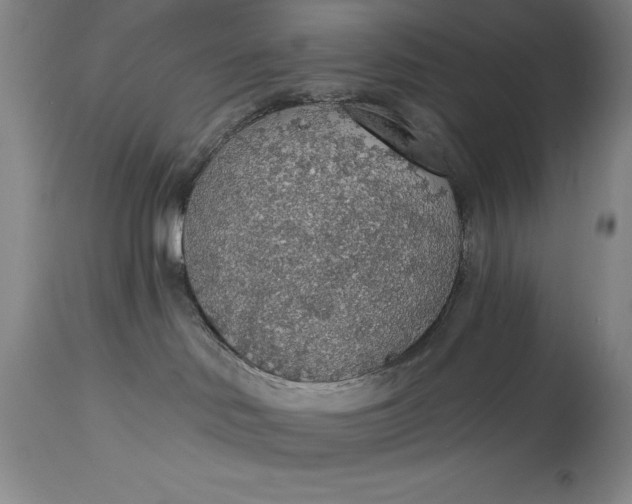 X0000115420046200911171433