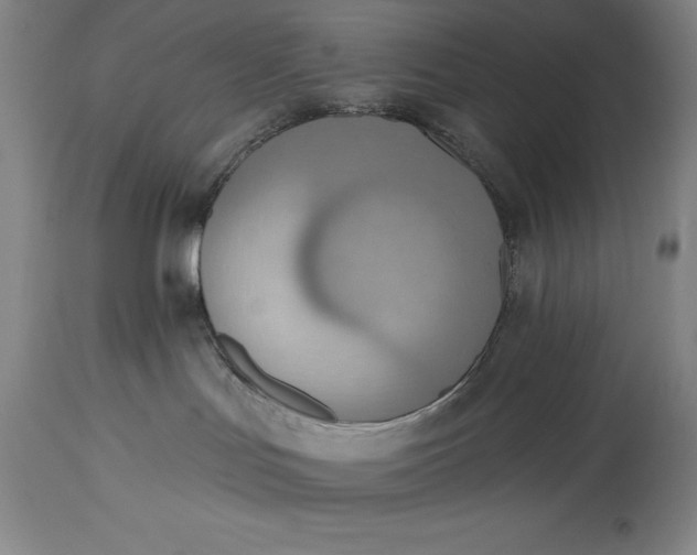 X0000115420047200911171433