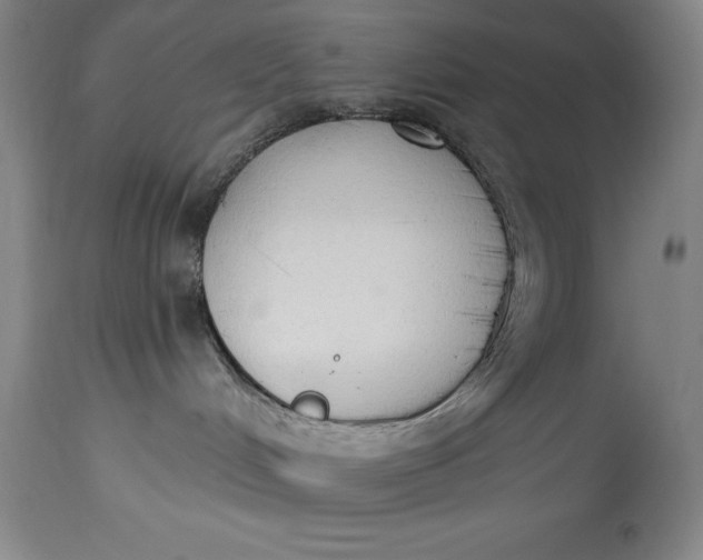 X0000115420048200911171433