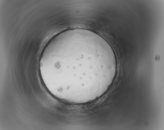 X0000115420049200911171432