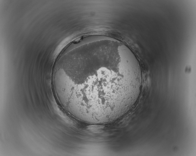 X0000115420051200911171432