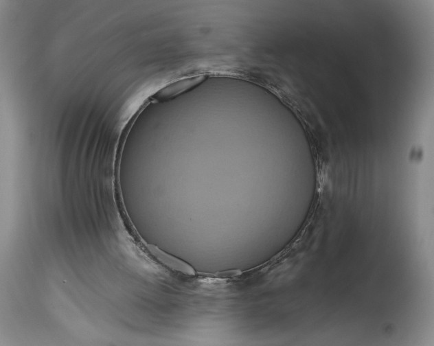 X0000115420052200911171432