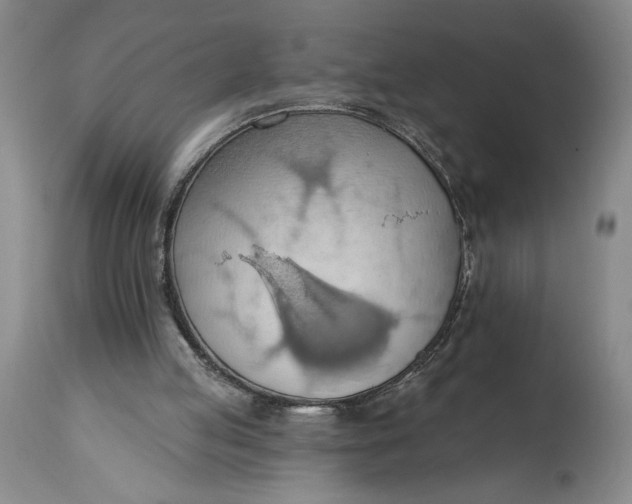 X0000115420053200911171432