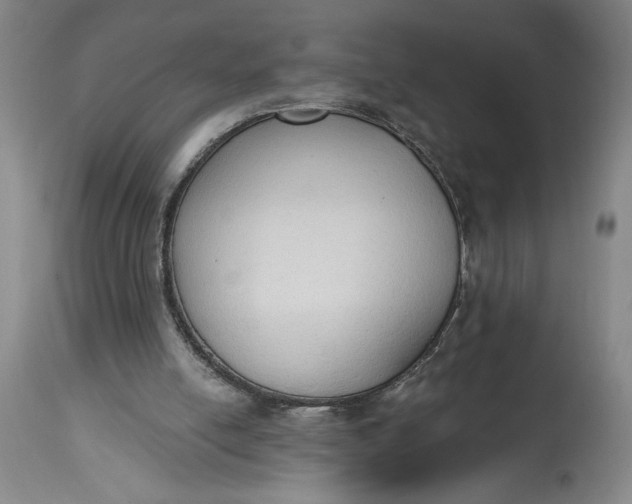 X0000115420054200911171432