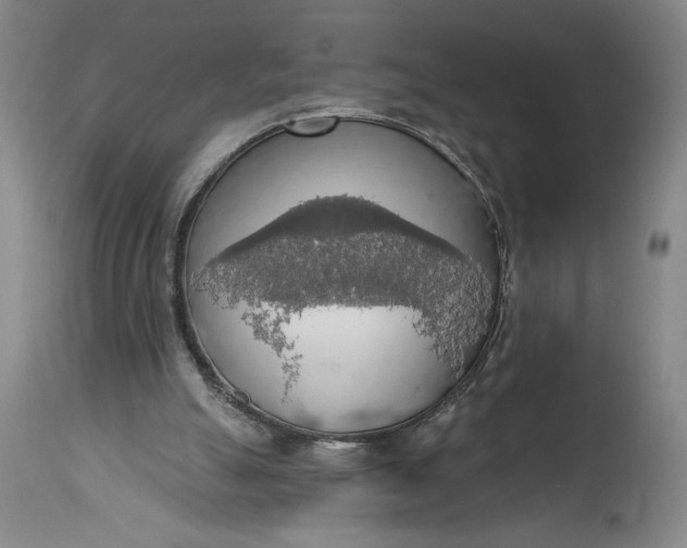 X0000115420055200911171433