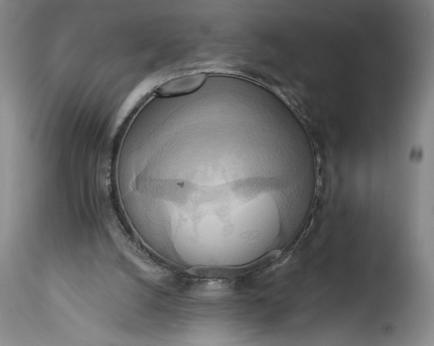 X0000115420056200911171433