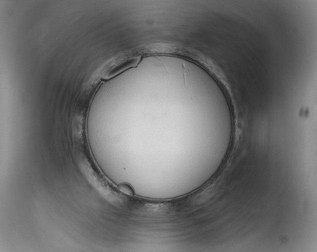 X0000115420057200911171433