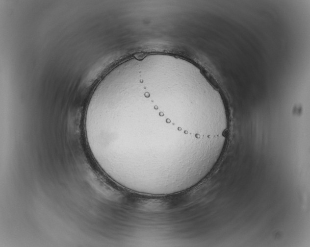 X0000115420058200911171433