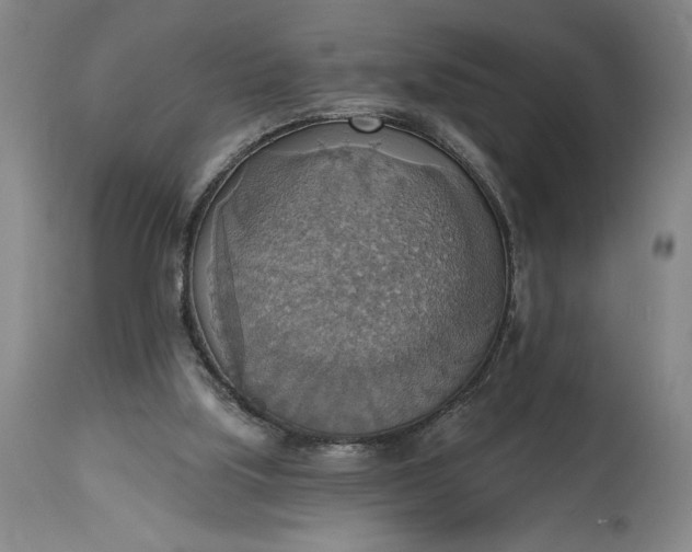 X0000115420059200911171433