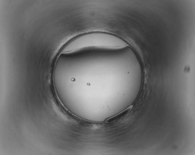 X0000115420060200911171433