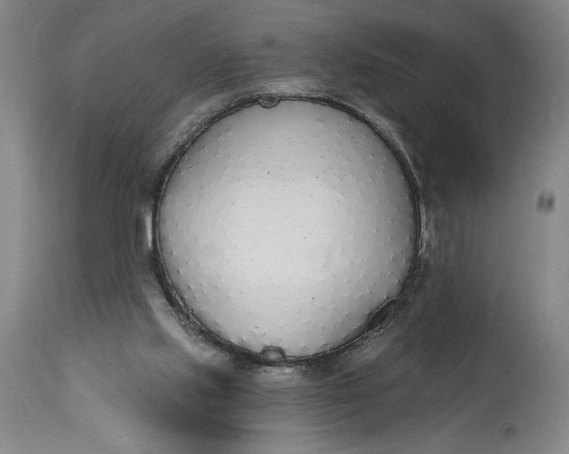 X0000115420061200911171433