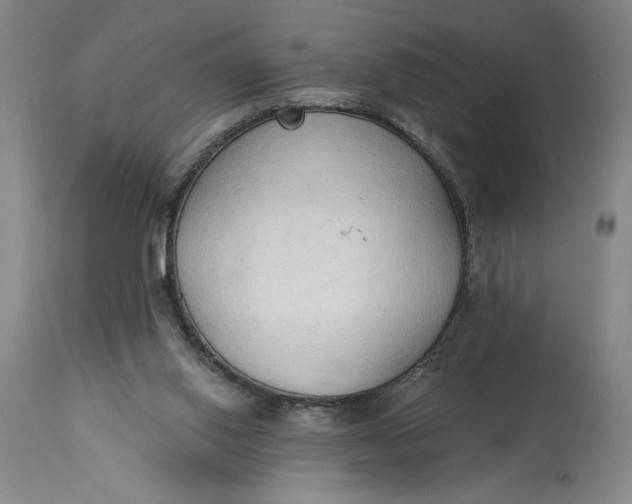 X0000115420062200911171433