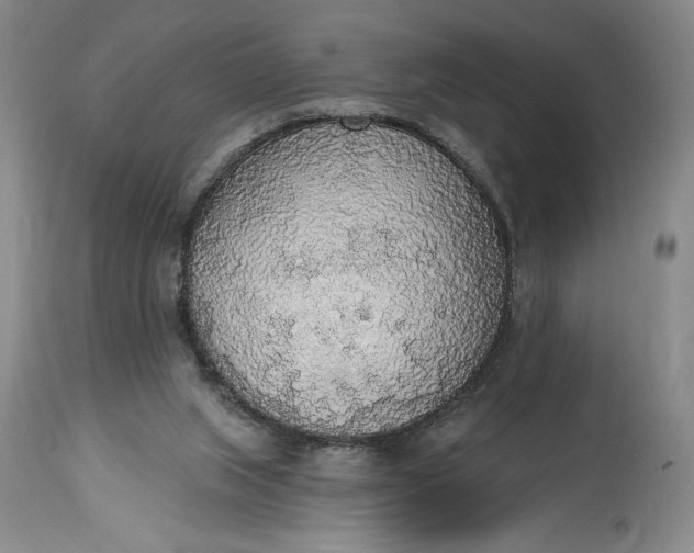 X0000115420063200911171433