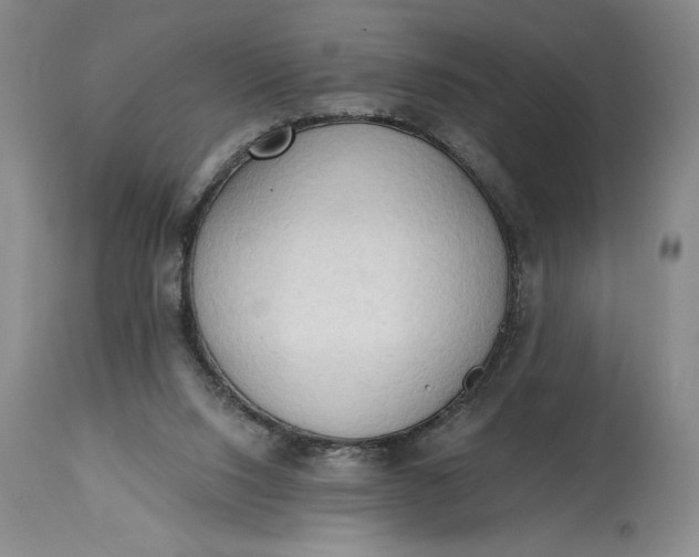 X0000115420064200911171433