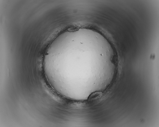 X0000115420065200911171433