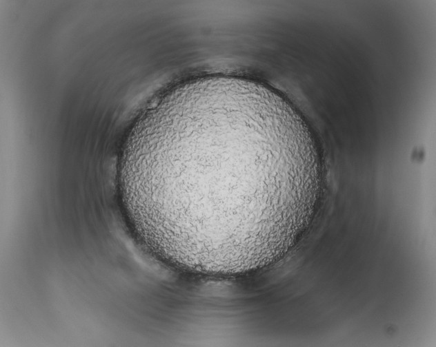 X0000115420066200911171433