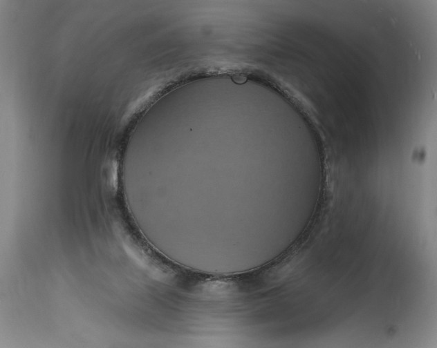 X0000115420067200911171433