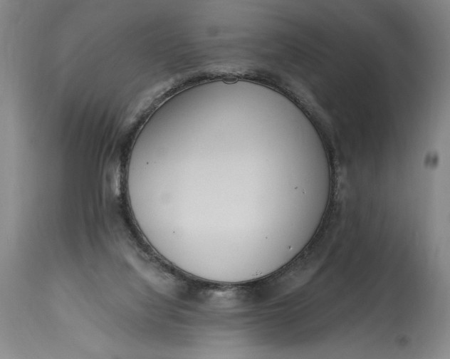 X0000115420068200911171433