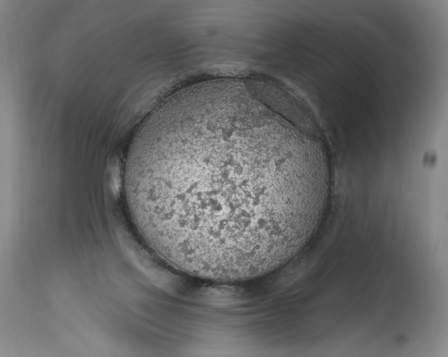 X0000115420069200911171433