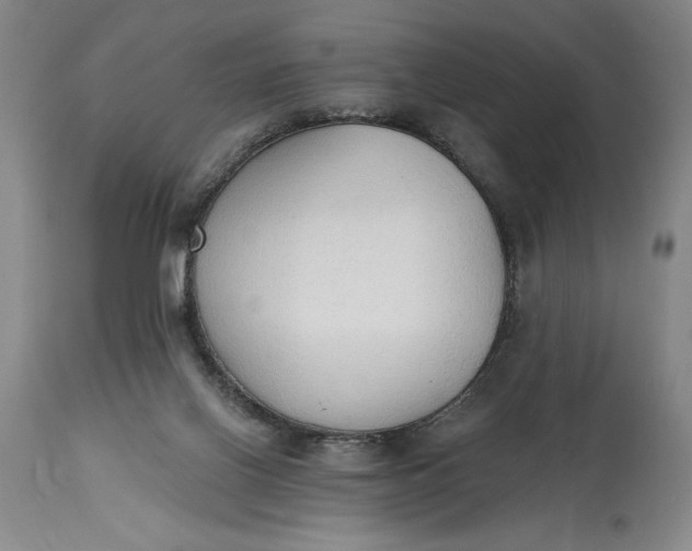 X0000115420070200911171433