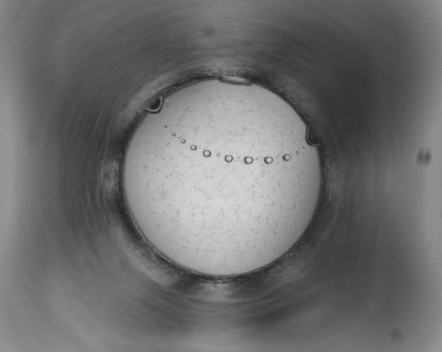 X0000115420071200911171433