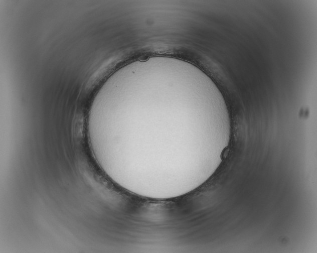 X0000115420072200911171433