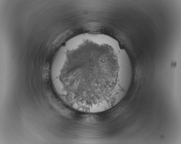 X0000115420073200911171433