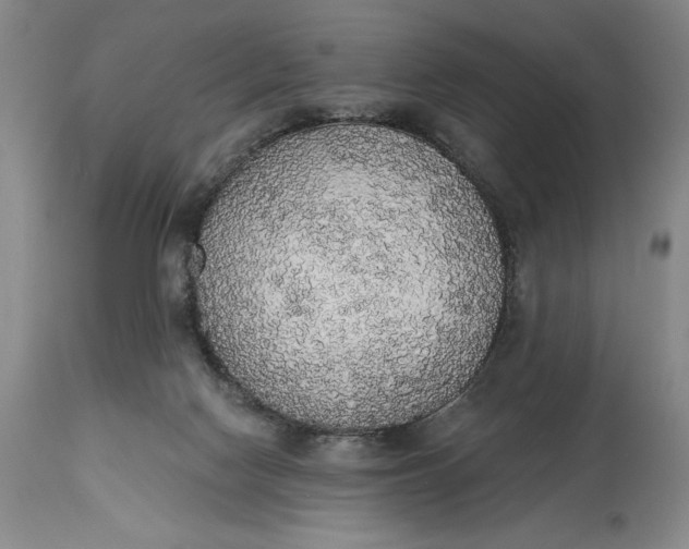 X0000115420074200911171433