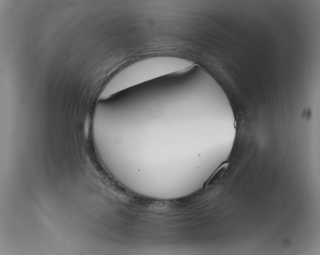 X0000115420076200911171433