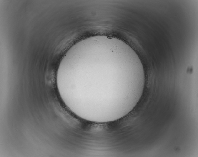 X0000115420077200911171433