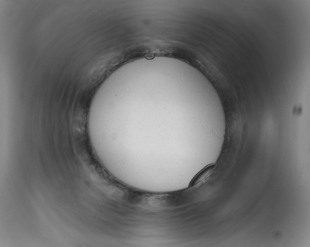 X0000115420078200911171433