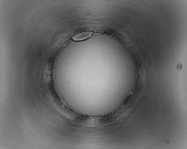 X0000115420080200911171433