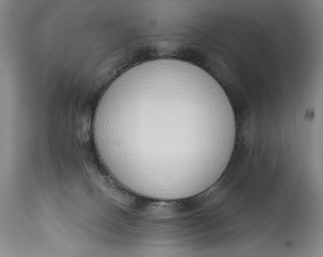 X0000115420082200911171433