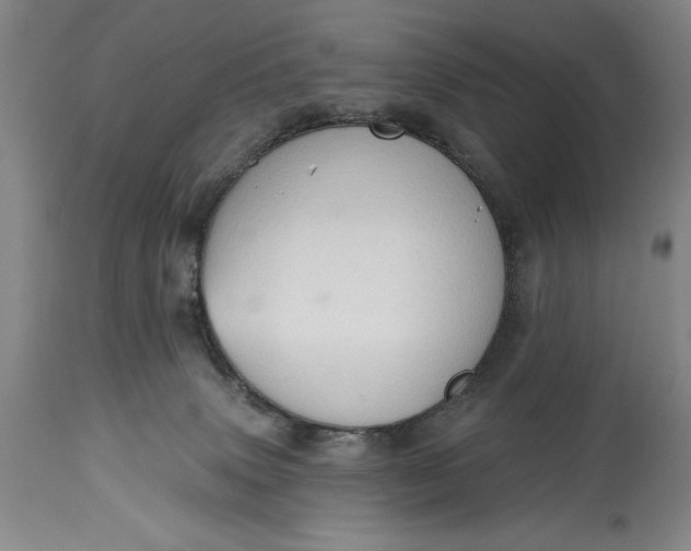 X0000115420083200911171433