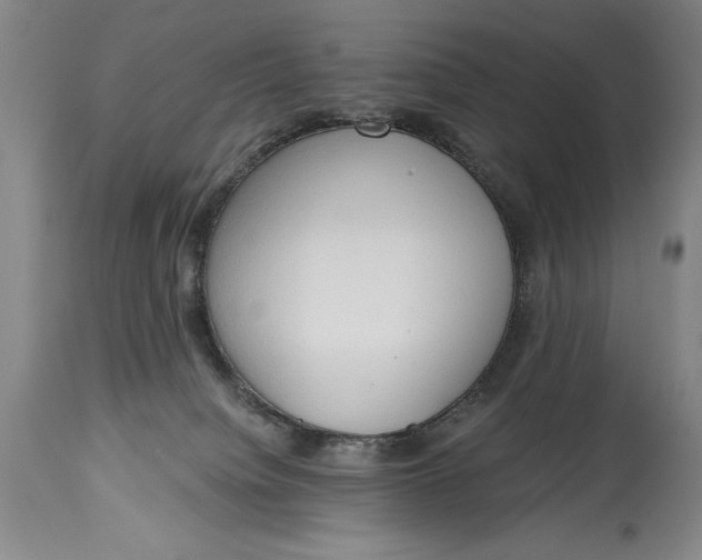 X0000115420084200911171433