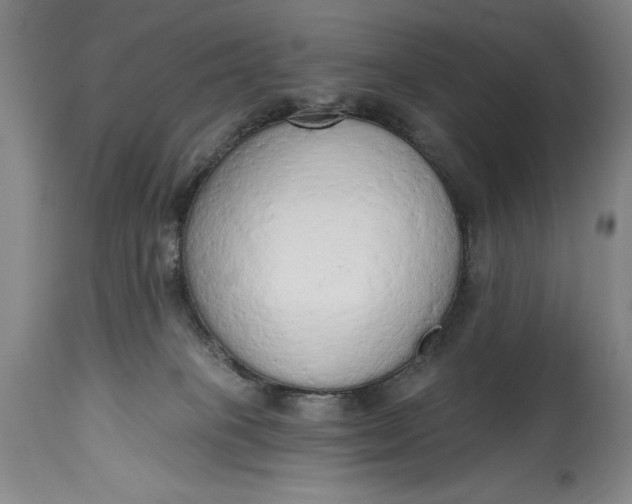 X0000115420085200911171433