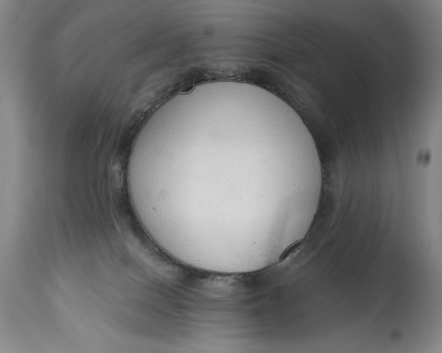 X0000115420086200911171433