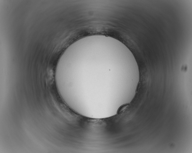 X0000115420087200911171433